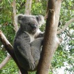 Profile Picture of Lise Ouellette (@lisouel11) on Instagram