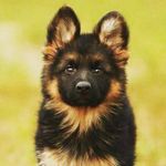 Profile Picture of Justina Matulaityte (@justinamatulaityte) on Instagram