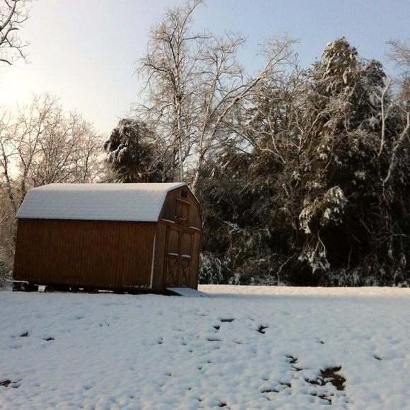 Profile Picture of Amy Higgins (@amyhiggins1) on Poshmark