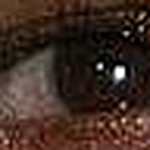 Profile Picture of Joe Montgomery (@joem1960) on Flickr