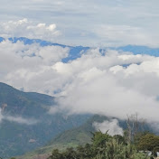 Profile Picture of Mario Torrez (@mariotorrez4056) on Youtube