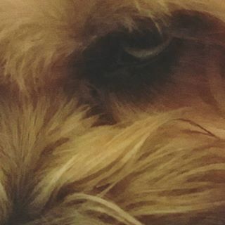 Profile Picture of Craig Haw (@Craig-Haw) on Facebook