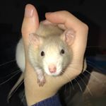 Profile Picture of Jenna Baldwin (@jbaldwinway) on Instagram