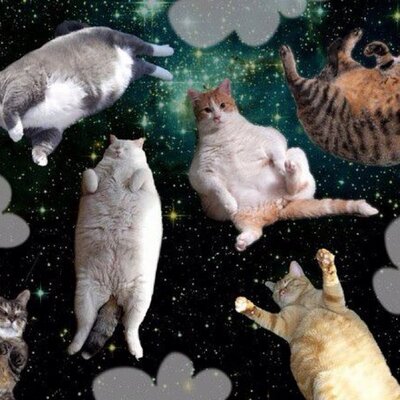 Profile Picture of Jeffrey Westling (@ging3r_kitty) on Twitter