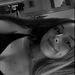 Profile Picture of Megan Stubbs (@meganstubbs3114) on Pinterest