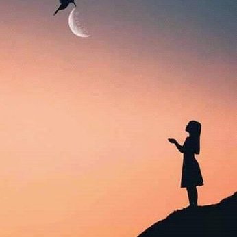 Profile Picture of Azza Abdalla (@AzzaAbdalla13) on Twitter