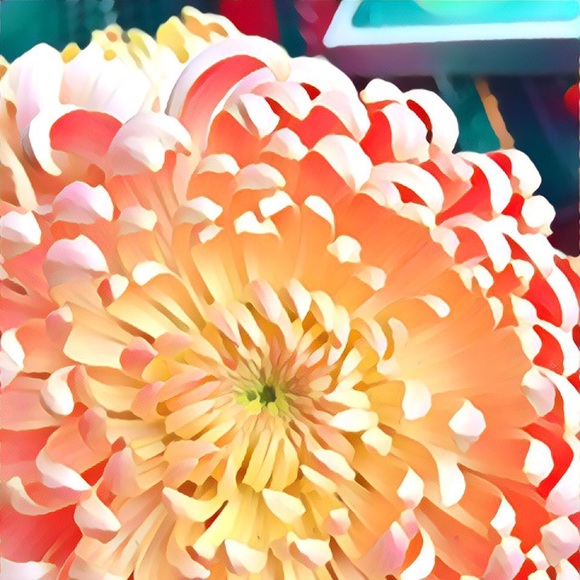 Profile Picture of Jessica Scirbona (@aerialistroxie) on Poshmark