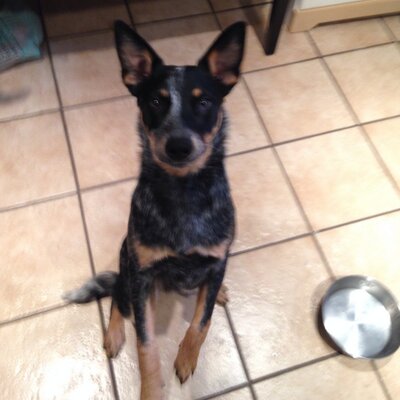 Profile Picture of Nicholas Beaudry (@Nick_Beaudry) on Twitter