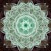 Profile Picture of Alexandra  (@crabtreebrisaeu) on Pinterest