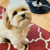 Profile Picture of Amber Liu (@amberliu1211) on Youtube