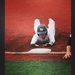 Profile Picture of Matthew Grasso (@grasso0505) on Pinterest