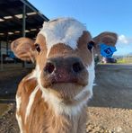 Profile Picture of Humberto Prieto (@Humberto-Prieto) on Facebook