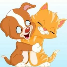 Profile Picture of Jim Valladares Ramir (@RamirJim) on Twitter