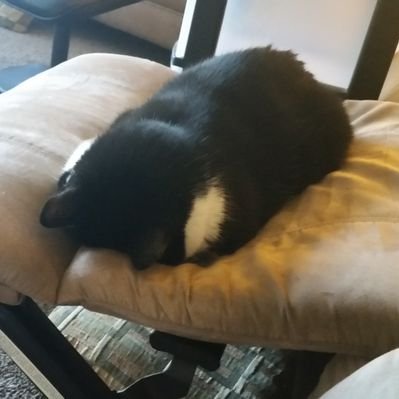 Profile Picture of Larry Stirling  🇨🇦 🇨🇦 🇨🇦 🏴󠁧󠁢󠁳󠁣󠁴󠁿 (@larrystirling) on Twitter