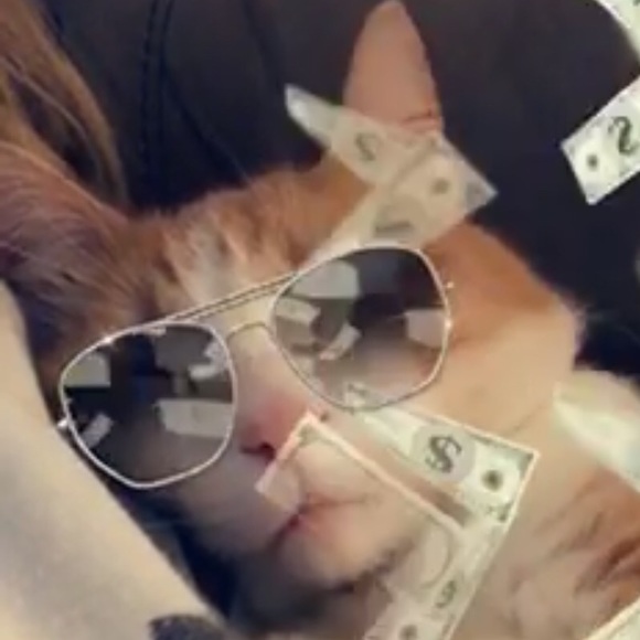 Profile Picture of William Lush (@dubyalush) on Poshmark