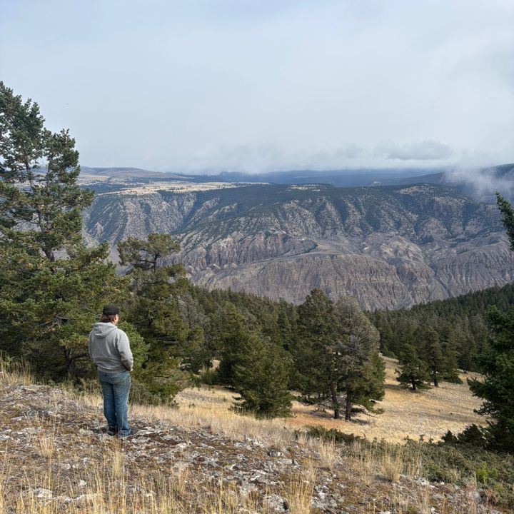 matthew! - Tiktok Profile Picture of matthew! (@matthew_lasser) on Tiktok