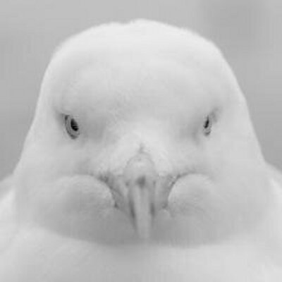 Profile Picture of Barry Sutton (@BazzaSutton) on Twitter
