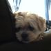Profile Picture of Mark Baron (@mark.baron.948) on Facebook