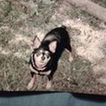 Profile Picture of Bobbie Seals (@bobbieseals12) on Instagram