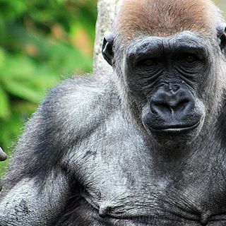 Profile Picture of Lea Mialone (@lea.mialone) on Facebook