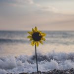 Michael Kpodo 🇺🇸 - Instagram Profile Picture of Michael Kpodo 🇺🇸 (@michael.on.it) on Instagram