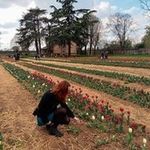 Profile Picture of Marta Facheris (@_mmar.ta__) on Instagram