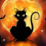 Profile Picture of Lois Posimato Rizzi (@bunker_sofie_bear) on Instagram