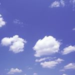 Profile Picture of Philip D. Pipkins (@philip_d._pipkins) on Instagram