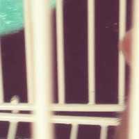 Profile Picture of Amanda Arguello (@amanda-arguello-4) on Quora