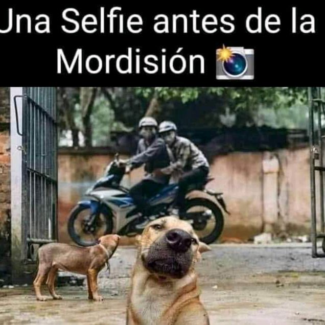 Profile Picture of arcadioperez438 (@arcadioperez438) on Tiktok