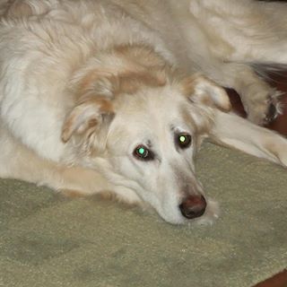 Profile Picture of Christine Mac Pherson (@christine.macpherson.7) on Facebook