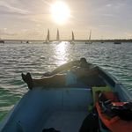 Profile Picture of Daniel Abraham Nahuelpan Villarroel (@profe.danieln) on Instagram