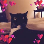 Profile Picture of Ernest Roberta Giddens (@ernestroberta.giddens) on Facebook