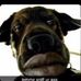 Profile Picture of Steve Parham (@steve.parham.338) on Facebook