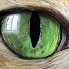 Profile Picture of LammeGoedzak (@LammeGoedzak) on Twitter