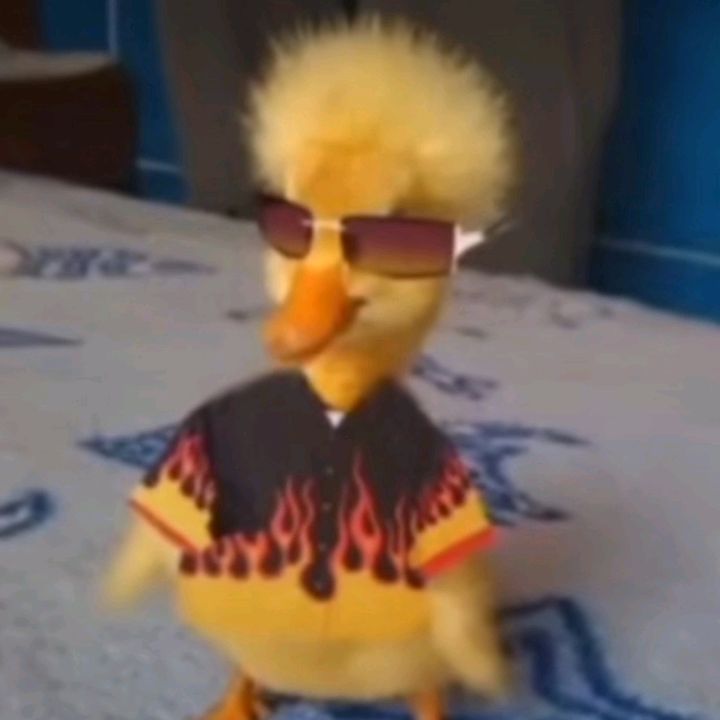 Profile Picture of Isaac Muriel (@isaacmuriel4) on Tiktok