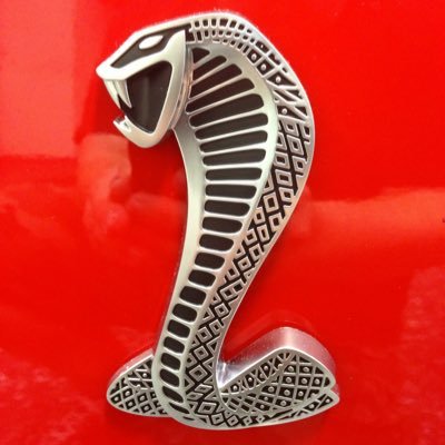Profile Picture of PW4️⃣ (@PageWagner4) on Twitter