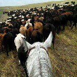 Profile Picture of Hunter Wade Bolinger (@hbolinger29) on Instagram