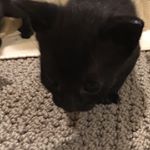 Profile Picture of Jason Furda (@jason_furda) on Instagram