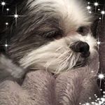 Profile Picture of Paula Welch-Mcneaney (@welchmcneaney) on Instagram