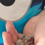 Profile Picture of Richard Manchester (@richard.manchester.73) on Facebook