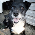 Profile Picture of Andrew Hawkins (@hahahaha111222) on Flickr