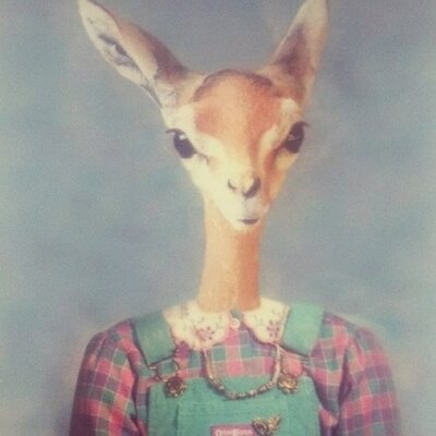 Profile Picture of ➖randykoster➖ (@_RK6) on Twitter