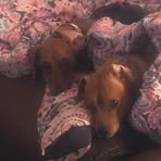 Profile Picture of David Markowicz (@David-Markowicz) on Facebook