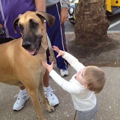 Profile Picture of Kyle Renner (@_renfu_) on Twitter