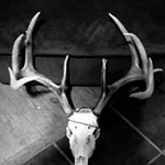Profile Picture of Alex Wuest (@alexander_james_wuest) on Instagram
