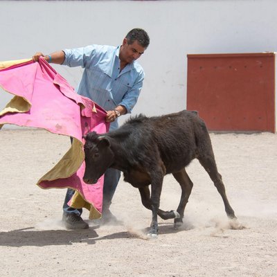 Profile Picture of David A. Herrera (@David_A_Herrera) on Twitter