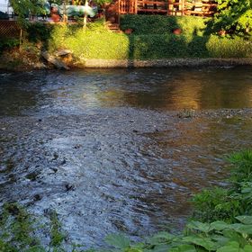 Profile Picture of Tammy McDowell (@suhidevil) on Pinterest