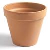 Profile Picture of Terry Cotter (@terrycotter6) on Tiktok