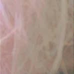 Mark Lornan Frio - Facebook Profile Picture of Mark Lornan Frio (@frio.mark.lornan.frio) on Facebook